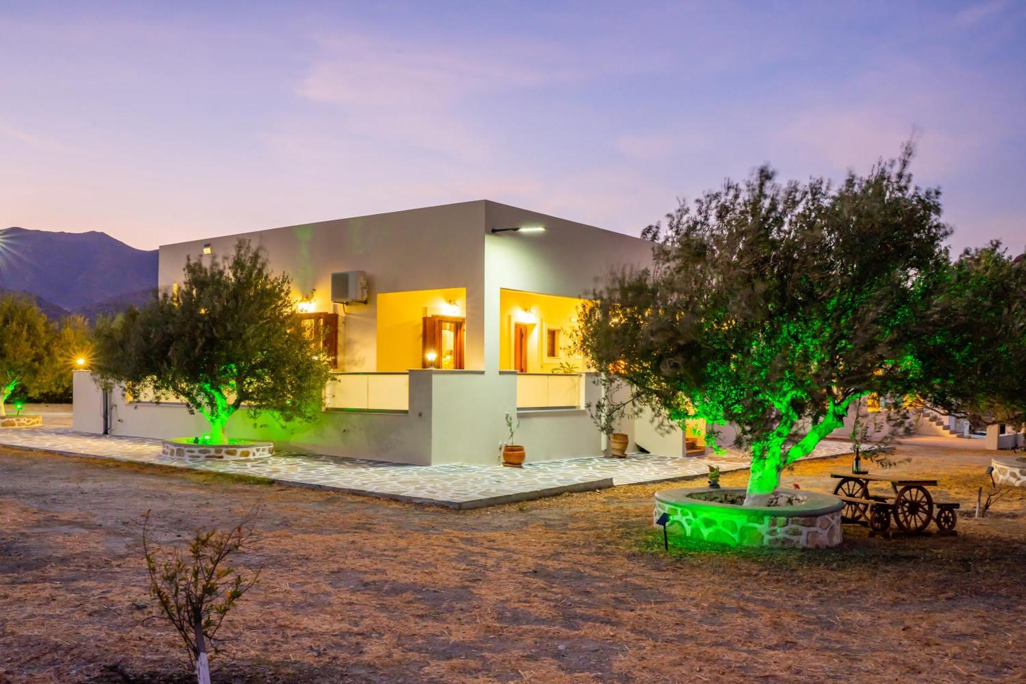 Olive Studios Karpathos Studio #4 Zewnętrze zdjęcie