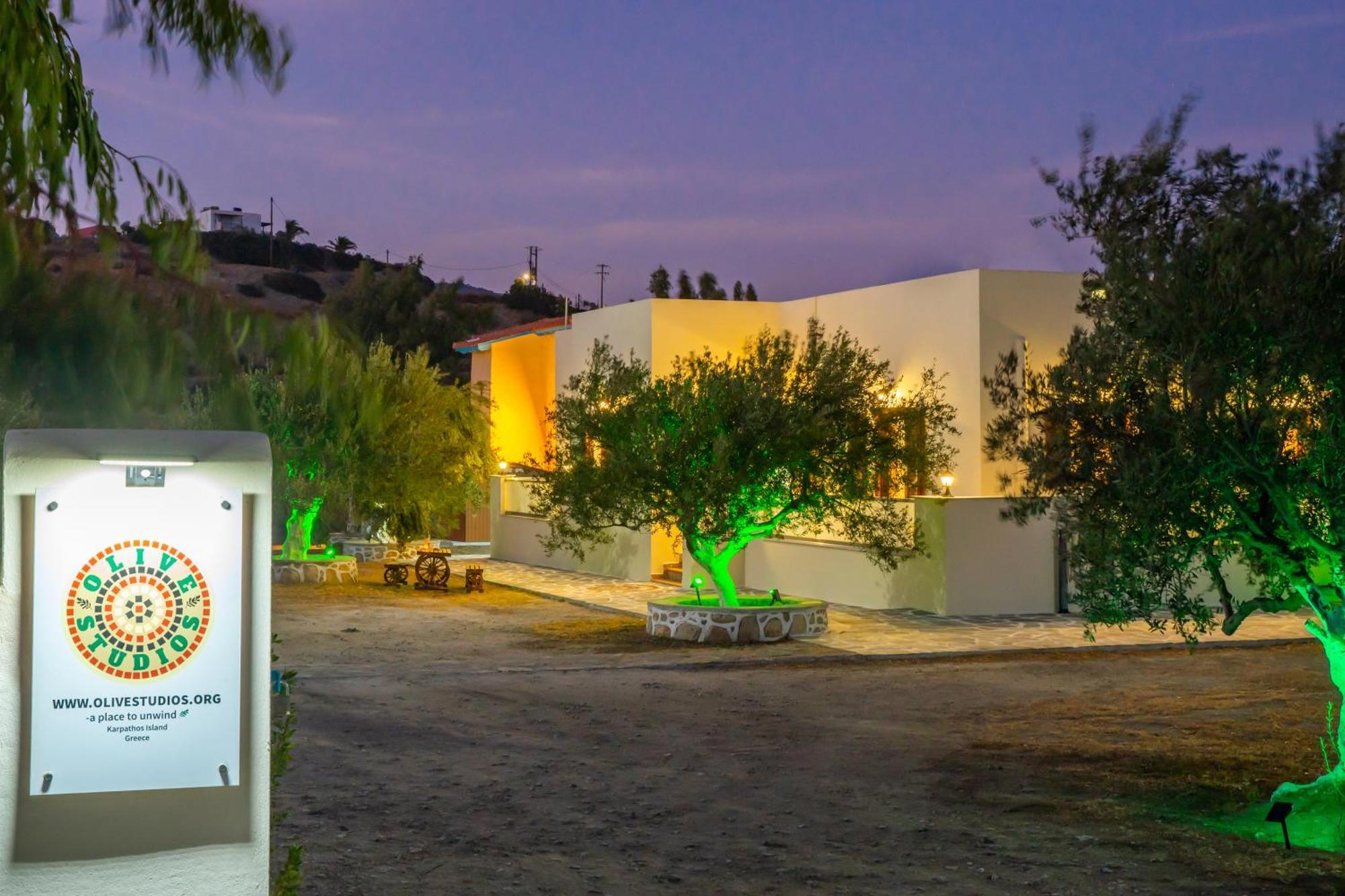 Olive Studios Karpathos Studio #4 Zewnętrze zdjęcie